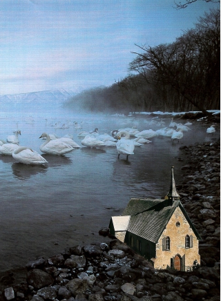 National Geographic Magazine Collage Image