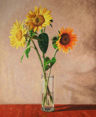 Colored Pencil Image